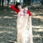 Formal Claret Embroidered Saree