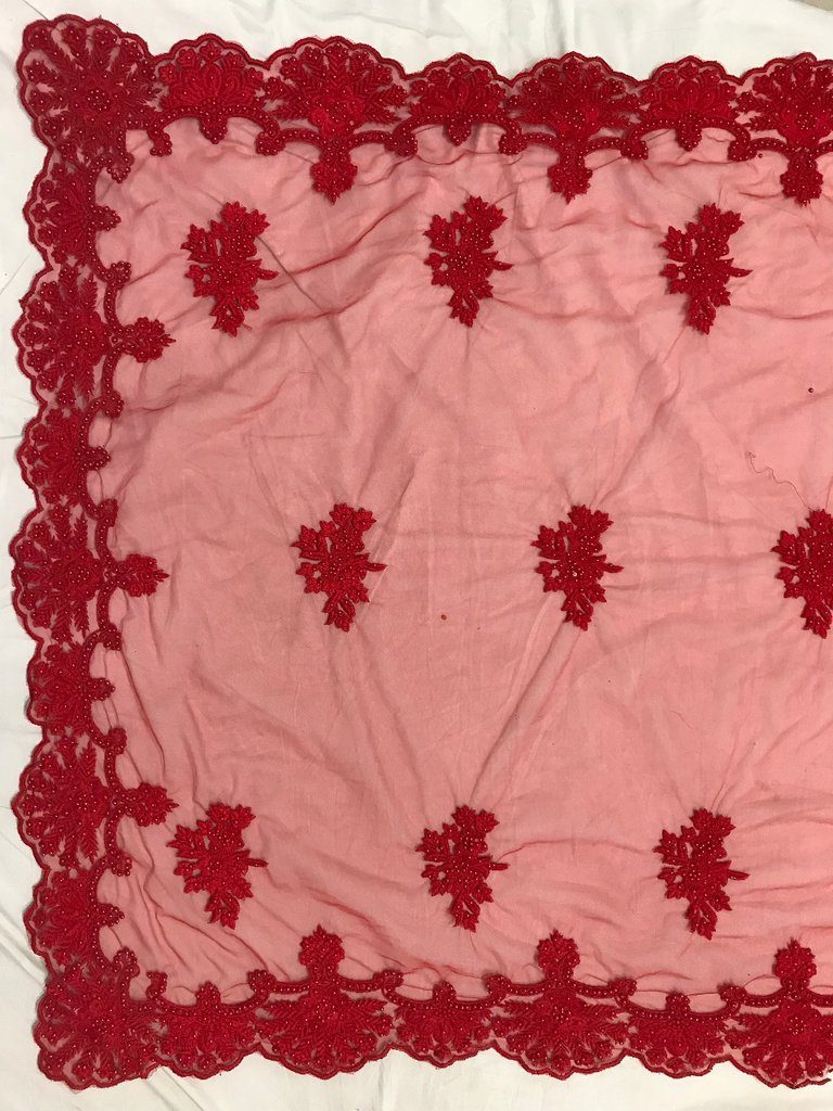 Embroidered Net Pearl Indian Saree