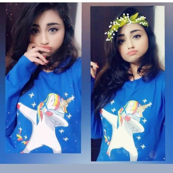 Dab Unicorn Sweatshirts