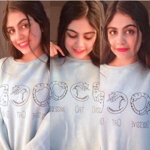 OCD Obsessive Cat Disorder Sweatshirts