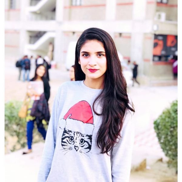 Santa Cat Sweatshirts