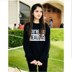 Sweatshirts Bundles (The Future is Female and You are Just Jealous)