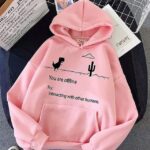 You are offline Hoodie