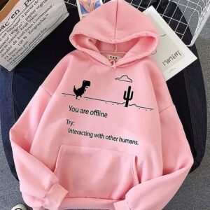 You are offline Hoodie