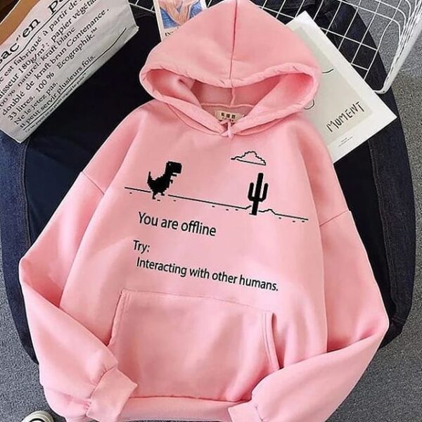 You are offline Hoodie