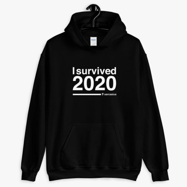 I Survived 2020 Hoodie