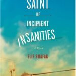 The Saint of Incipient Insanities Books