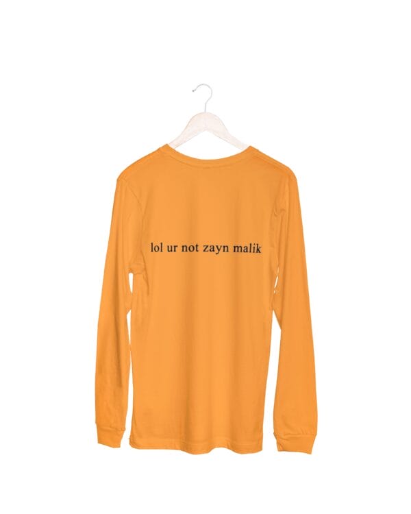 LOL UR Not Zayn Malik T-Shirts