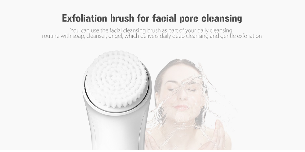 Browns BS-2199 exfoliation brush