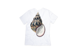 Ocean Shells T-shirt