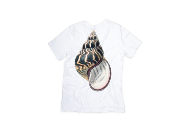 Ocean Shells T-shirt
