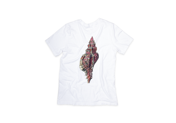 Rarest Sea Shell T-shirt