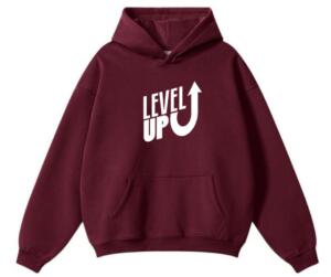 Level Up Hoodie