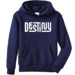 Destiny Hoodie
