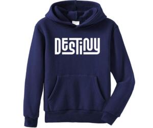 Destiny Hoodie