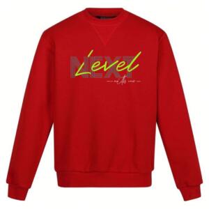 next level sweatshirt