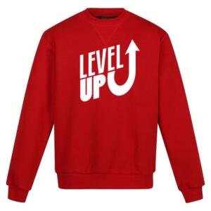 level up sweatshirt