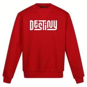 Destiny Sweatshirt