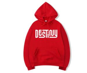 Destiny Hoodie