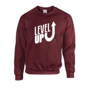 level up sweatshirt