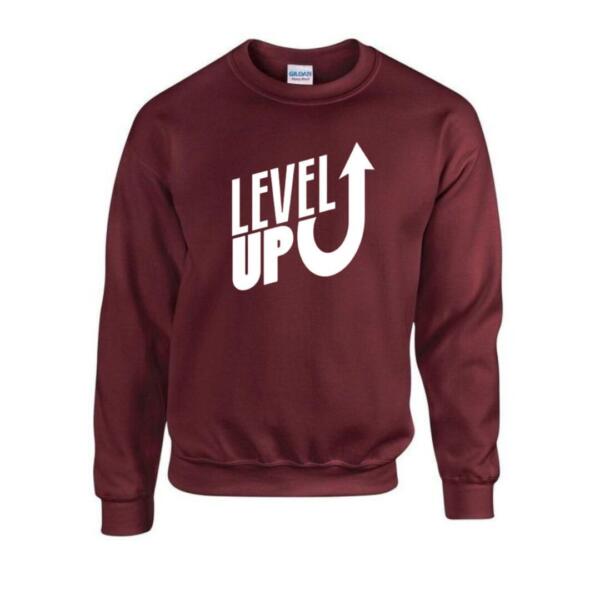 level up sweatshirt
