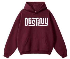 Destiny Hoodie