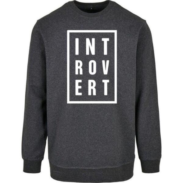 Introvert Sweatshirt