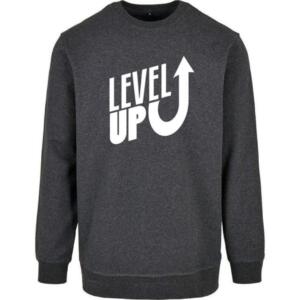 level up sweatshirt