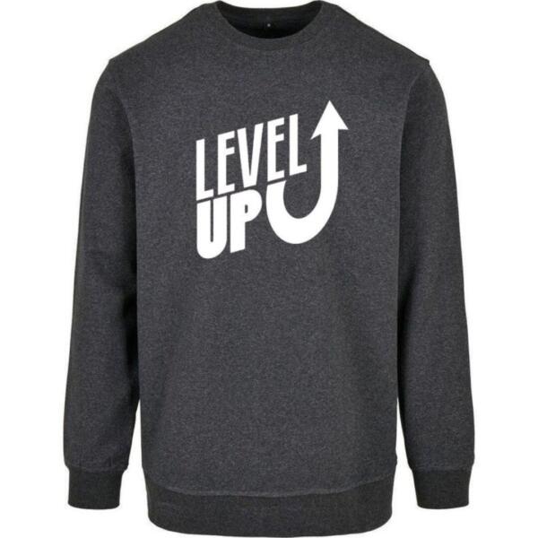 level up sweatshirt