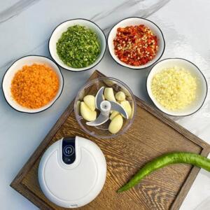 Rechargeable food chopper (2)