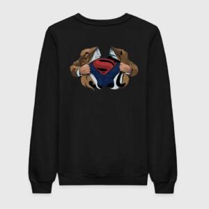 Superman Sign Hoodie