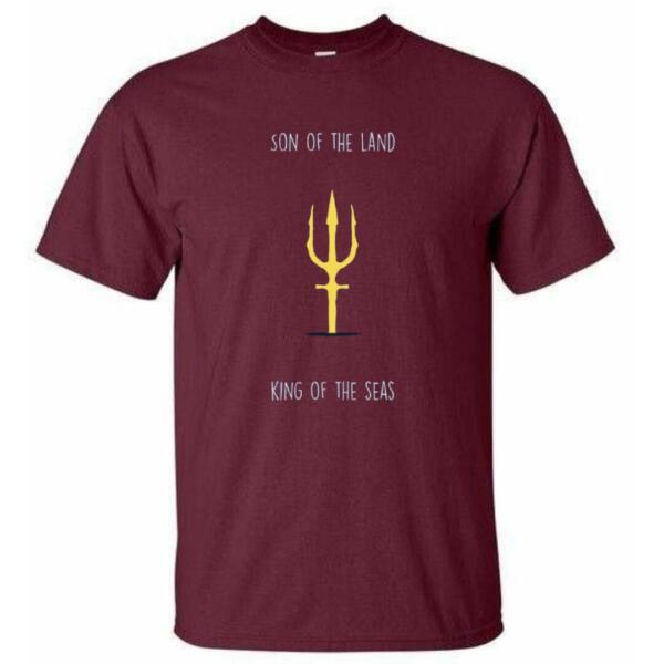 Aquaman Son Of The Land T-Shirt (6)