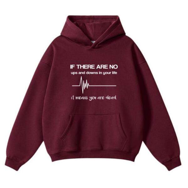 If There Are No Ups And Downs Hoodie (2)