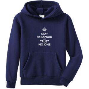Stay Paranoid Hoodie (4)