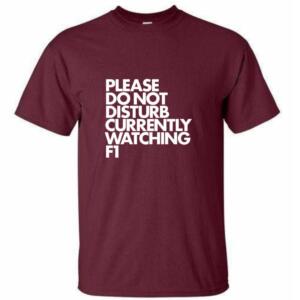 Please Do Not Disturb Currently Watching F1 T-Shirt - Image 4