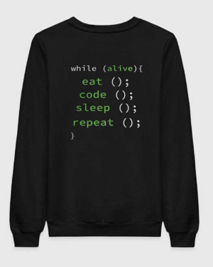Eat Sleep Code Repeat Sweatshirt