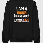 I'm A Programmer I Write Codes Sweatshirt