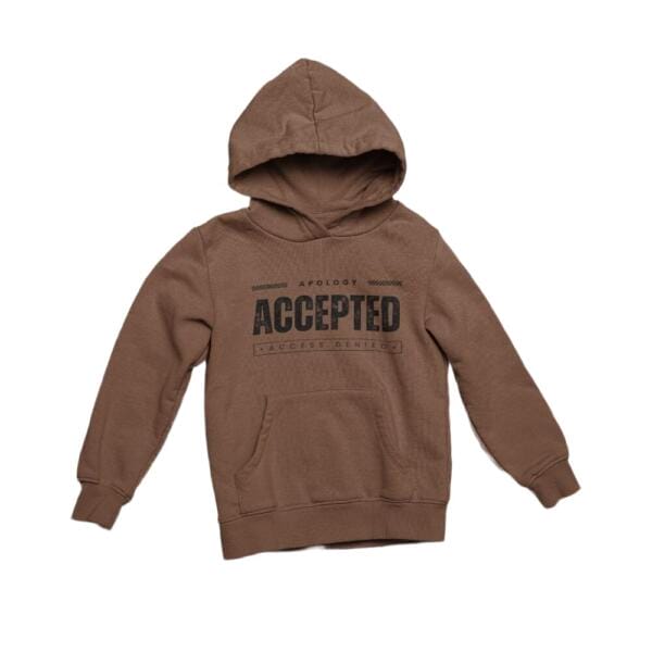 Apology Accepted Access Denied Hoodie Brown
