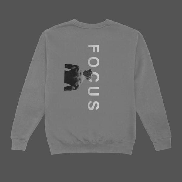 Focus Sweatshirt Grey