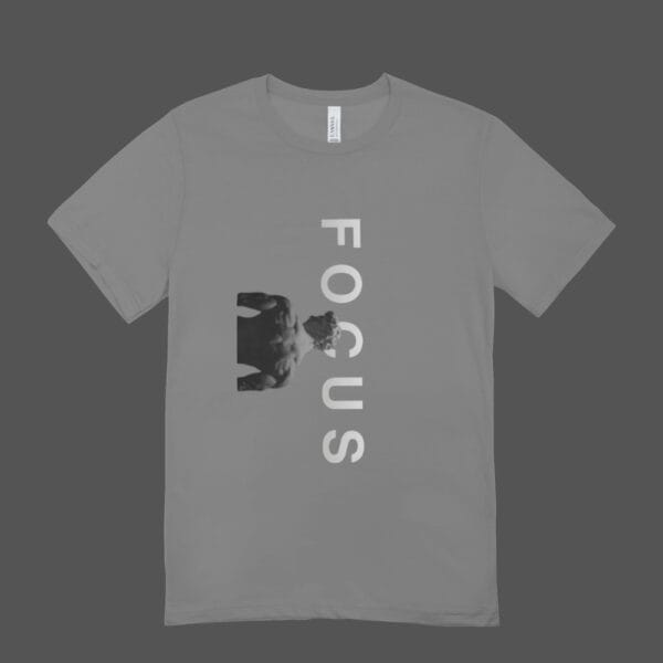 Focus T-shirt Grey