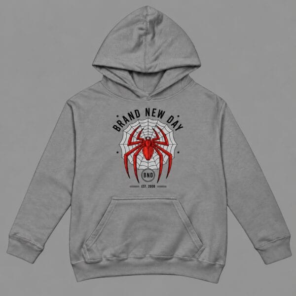 Brand New Day Spider Hoodie Grey