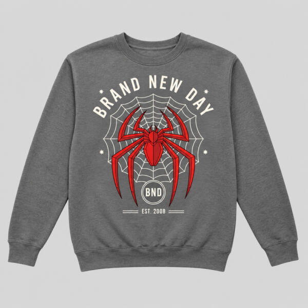 Brand New Day Sweatshirt Grey