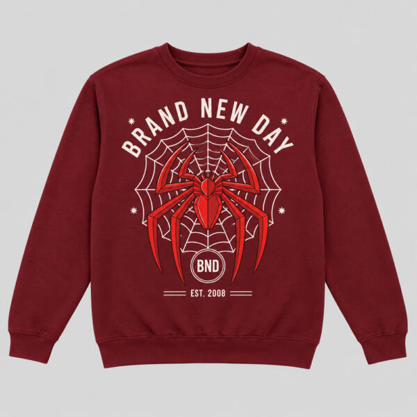 Brand New Day Sweatshirt Maroon